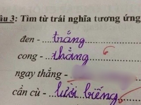 Yêu con - Bài tập tiếng Việt tìm từ trái nghĩa với "ngay thẳng", bé học sinh viết ra một đáp án khiến giáo viên hoang mang