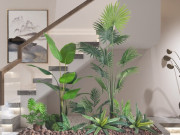 Nhà đẹp - Cẩn thận khi 4 loại cây này trồng trong nhà bỗng nở hoa, loại bỏ ngay nếu không muốn gặp “điềm gở”