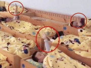 Yêu con - Giáo viên chụp ảnh trẻ ngủ trưa ở trường gửi vào nhóm lớp, phụ huynh soi kỹ mới thấy hành động kỳ lạ của con