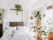 Nhà đẹp - 4 loại cây "sản xuất oxy" một cách bí mật vào ban đêm, trồng một chậu trong phòng sẽ giúp bạn ngủ ngon hơn