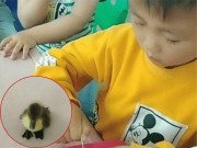 Yêu con - Lén bố mẹ mang quà đến trường mẫu giáo tặng cô, cậu học sinh vừa mở cặp sách đã khiến cả lớp cười xỉu