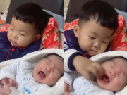 Yêu con - Em sơ sinh khóc mãi không nín, anh trai 2 tuổi liền làm một hành động cực thông minh khiến người mẹ ngỡ ngàng