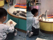 Yêu con - Cô giáo giao bài tập về nhà vẽ tranh thú cưng, tác phẩm của cậu học sinh khiến giáo viên hoang mang, khó chấm điểm