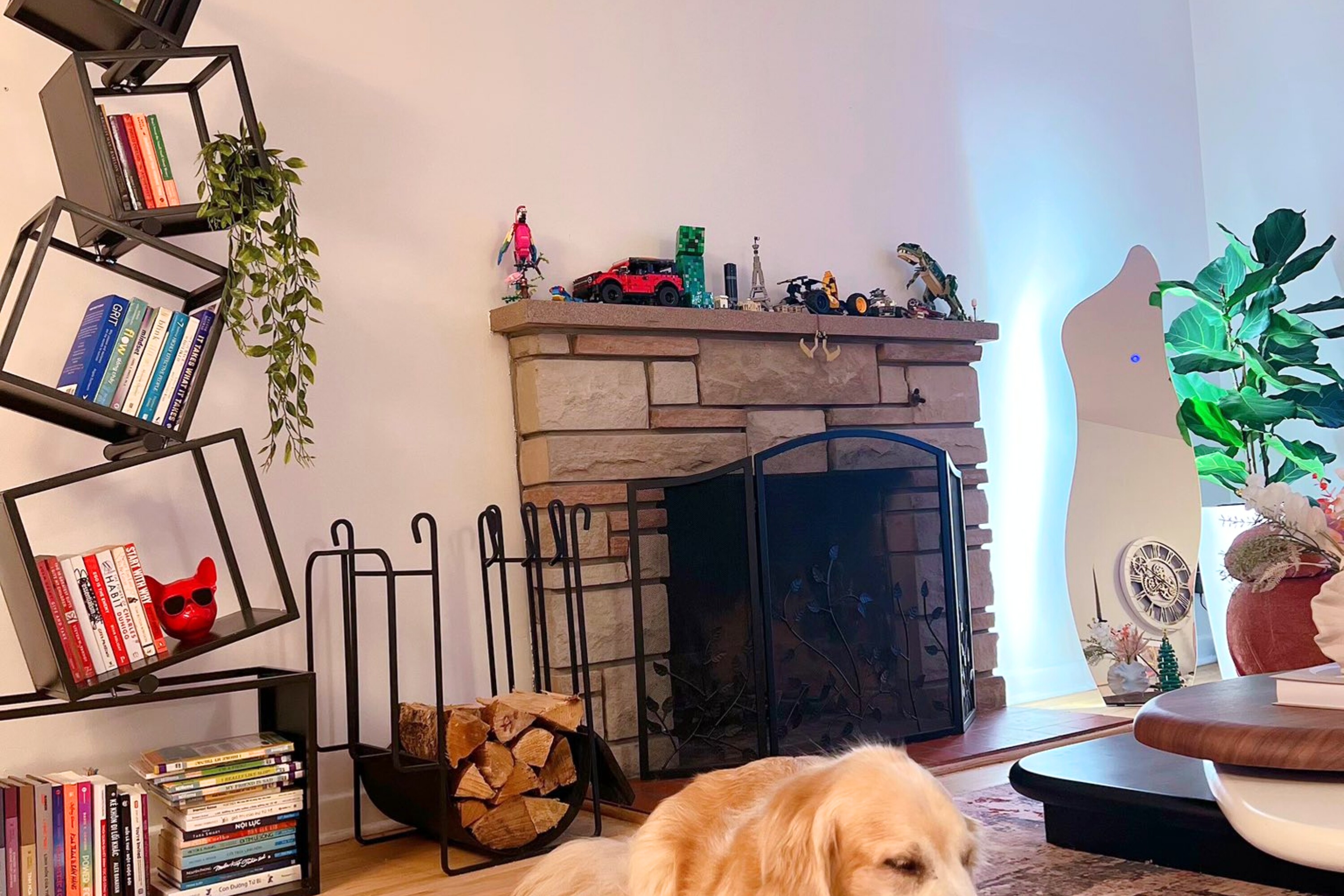 Mẹ trẻ An Giang sang Canada định cư, mang 19 tỷ tiền tiết kiệm xây biệt thự 5 tầng 650m2, ai nhìn cũng nể - 5