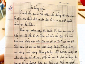 Viết bài văn dài trang giấy tả hàng xóm “đầu chỉ 10 đến 15 sợi tóc”, bé lớp 2 khiến dân tình cười té ghế