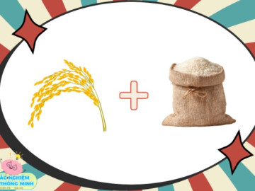 Đuổi hình bắt chữ: Đoán tên các câu ca dao, thành ngữ, tục ngữ Việt Nam về đạo lý làm người, đạo đức lối sống