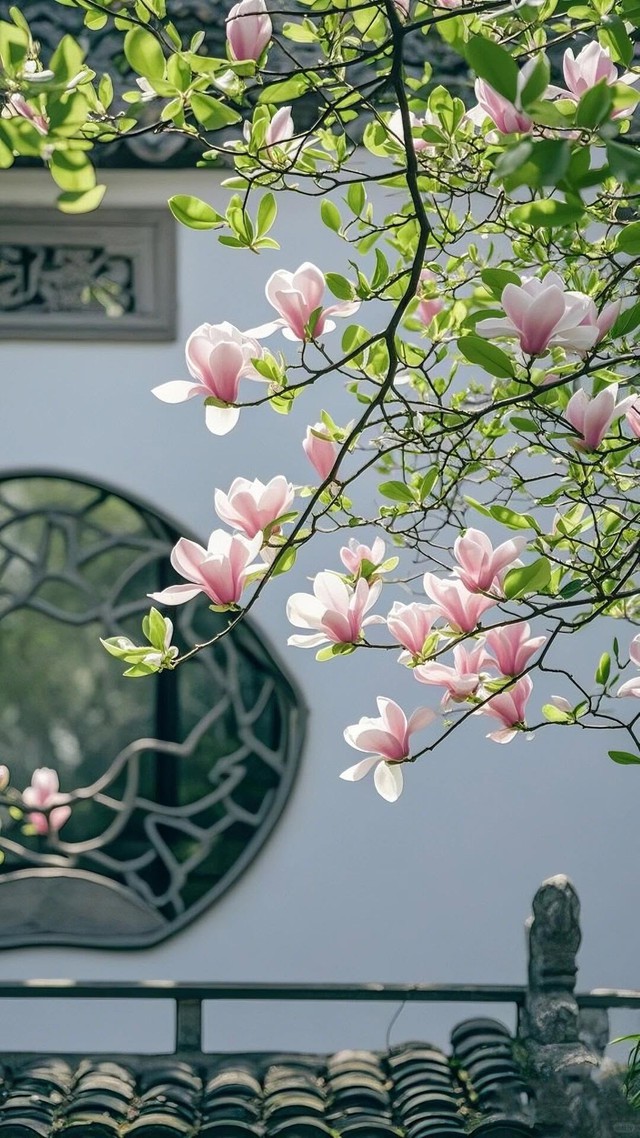 Ở tuổi trung niên, vận mệnh của những đứa trẻ sinh vào ngày 15 Âm lịch tỏa sáng, muốn quyền có quyền, muốn tiền không thiếu. Ảnh minh họa