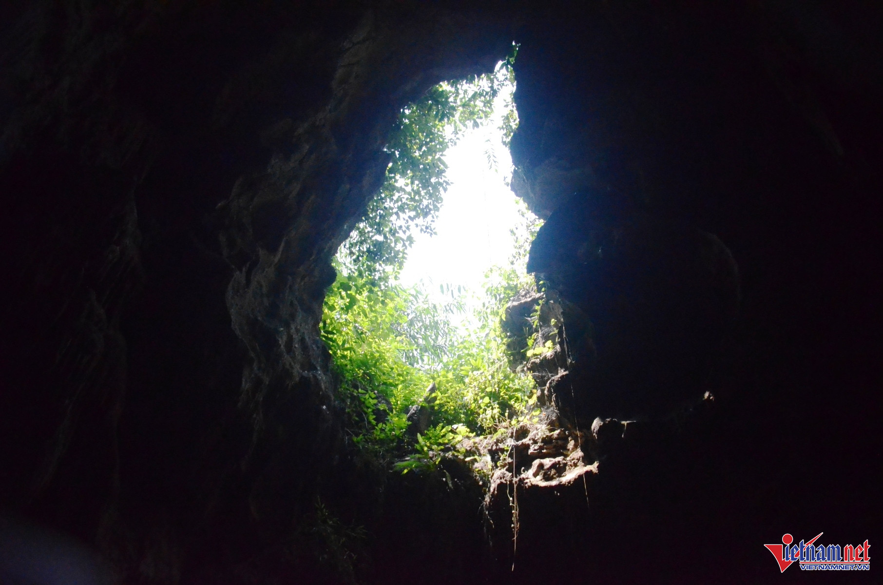 Hang Động Kỳ Thú Ở Ninh Bình, Du Khách Đi Thuyền Giữa Dải Ngân Hà Giếng Trời Tự Nhiên Có Thể Nhìn Thấy Cây Cối Mọc Trên Núi Tướng