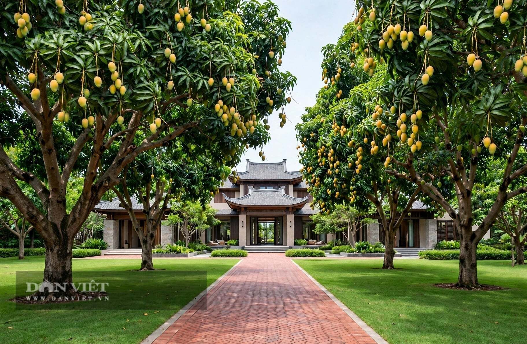 Đến cuối thu, khi cây cảnh chuẩn bị phân hóa mầm hoa