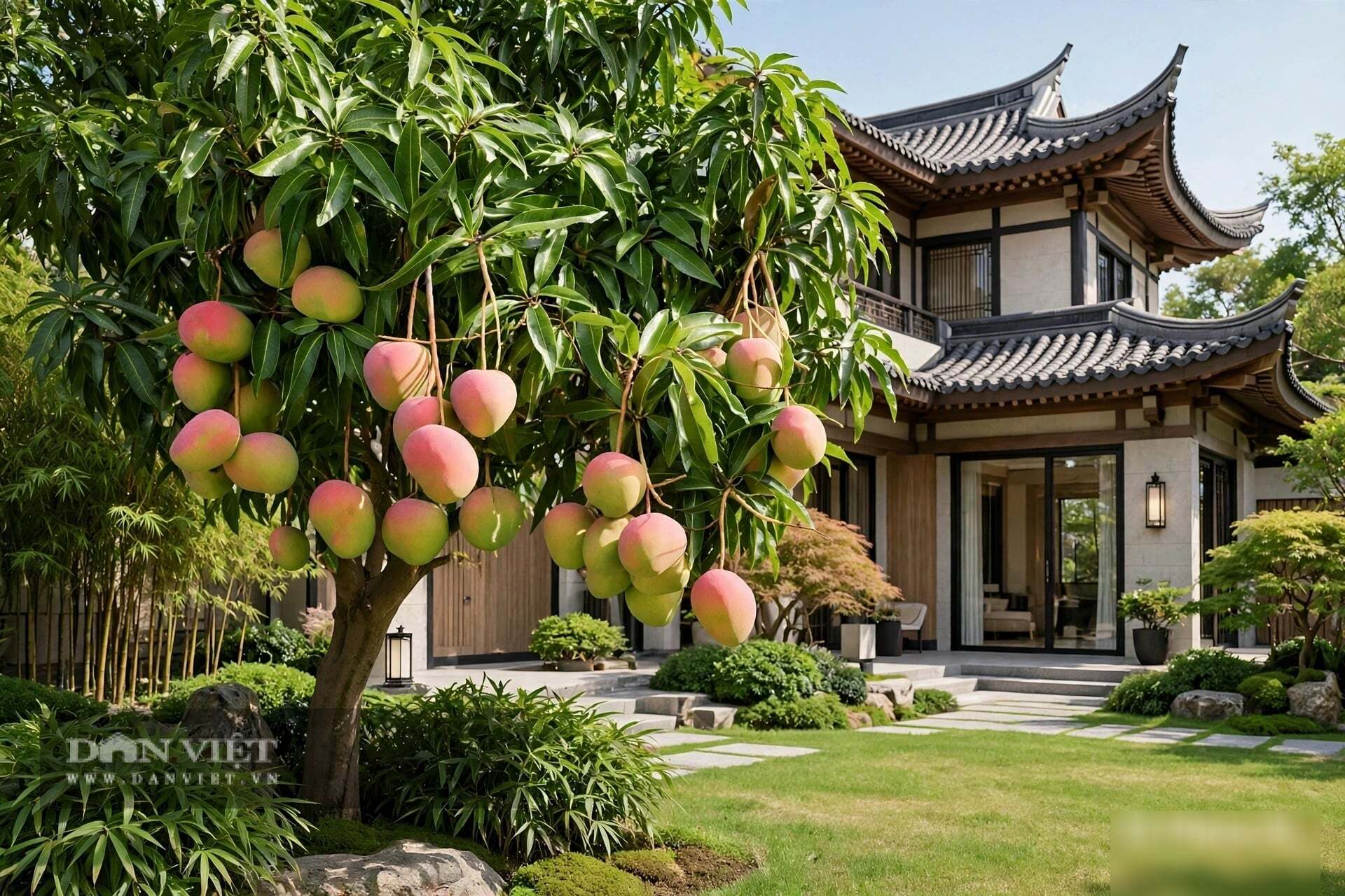 Trồng cây cảnh này không khó
