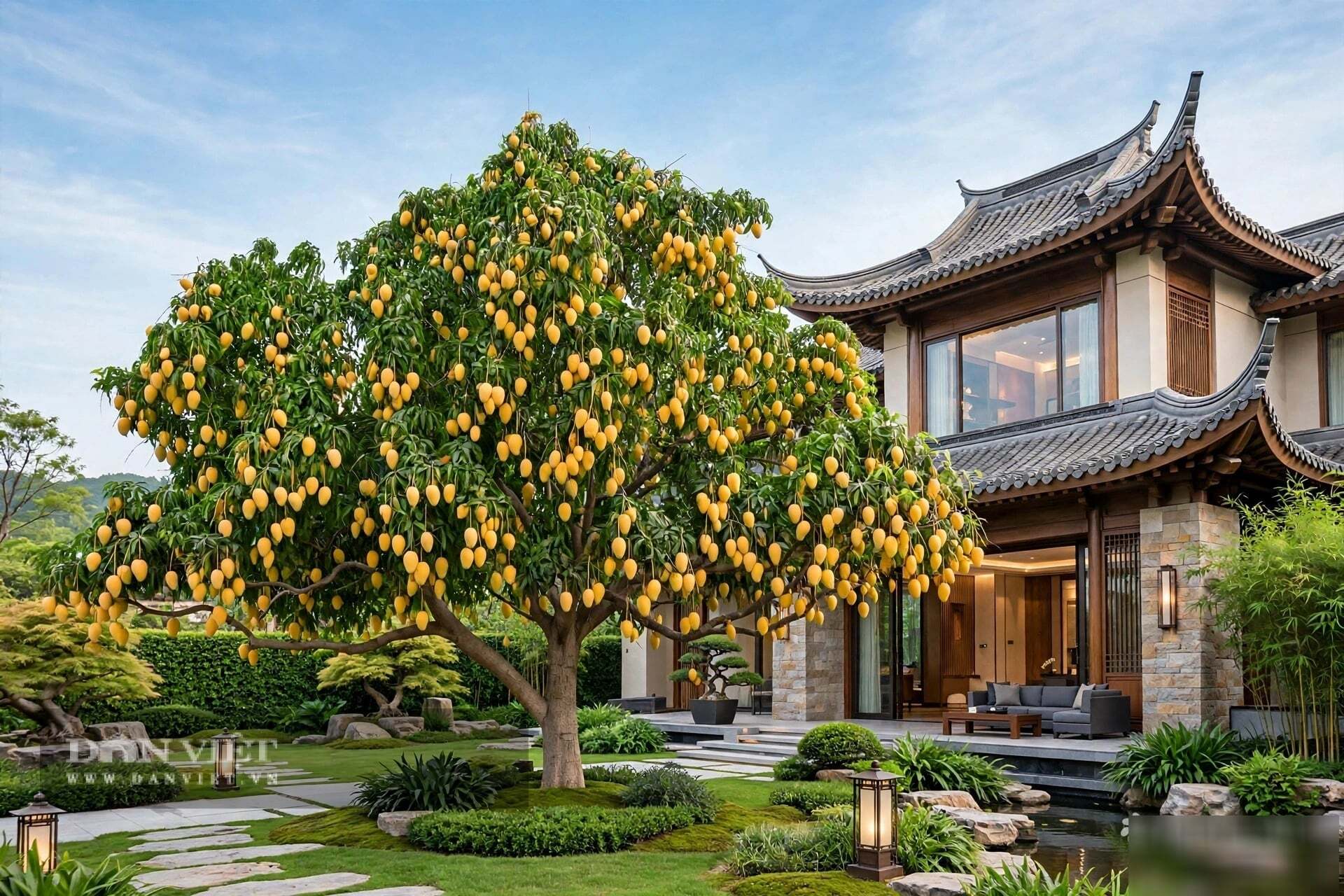 Cây cảnh dạy ta một triết lý