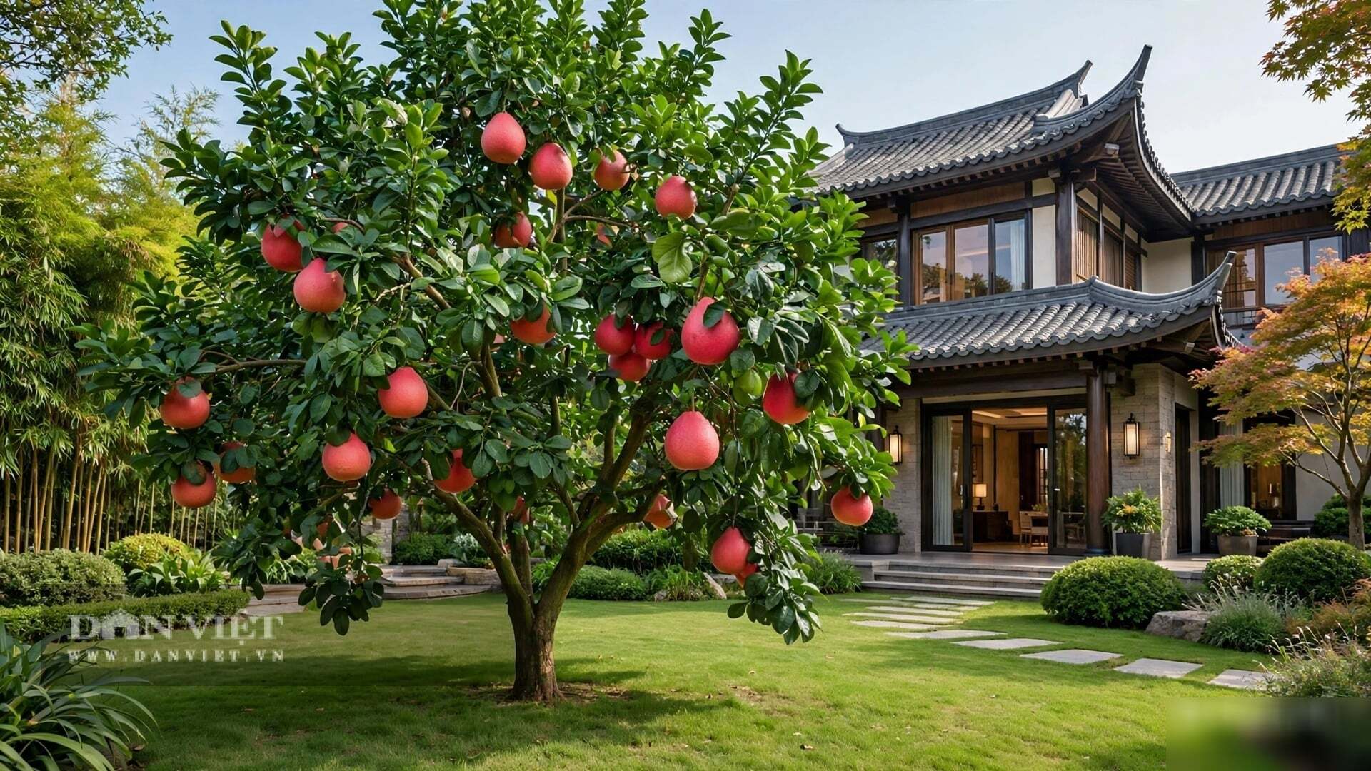 Chăm cây cảnh này cần sự tỉ mỉ hơn mít