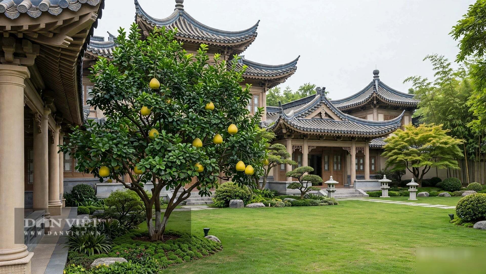 Sau khi hái quả, hãy cắt tỉa hết những cành tăm