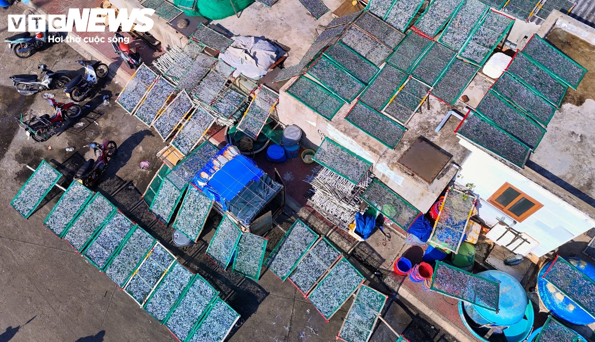 Lượng cá cơm còn lại sẽ được người dân làng chài tranh thủ đem phơi tại các khoảng sân trống, trên mái nhà để làm cá cơm khô.