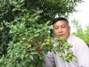 Từng “đốt tiền” cho cây dược liệu, nông dân Lạng Sơn này bất ngờ đổi đời nhờ 2 loại cây gì trồng trên đồi cao?