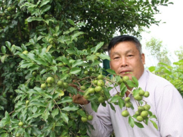 Từng “đốt tiền” cho cây dược liệu, nông dân Lạng Sơn này bất ngờ đổi đời nhờ 2 loại cây gì trồng trên đồi cao?