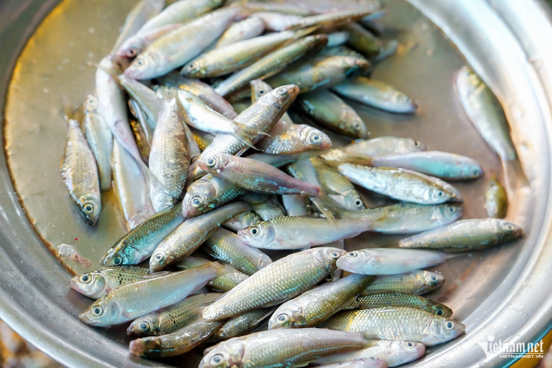 Một Số Sản Vật Đặc Trưng Vào Mùa Nước Nổi Ở Cần Thơ