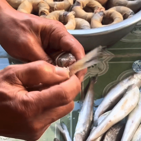 Cá thửng được quấn tròn, gài đuôi vào miệng rồi đem luộc chín, hun khói tạo màu sắc và mùi vị thơm ngon. Ảnh: Trung Nguyễn