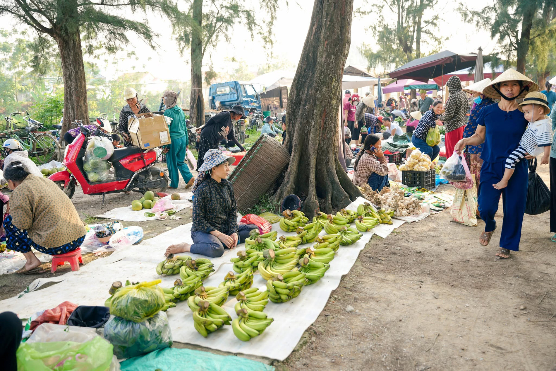 Chợ ở Thanh Hoá nằm giữa rặng phi lao xanh mát, bán đủ món ngon dân dã - 1