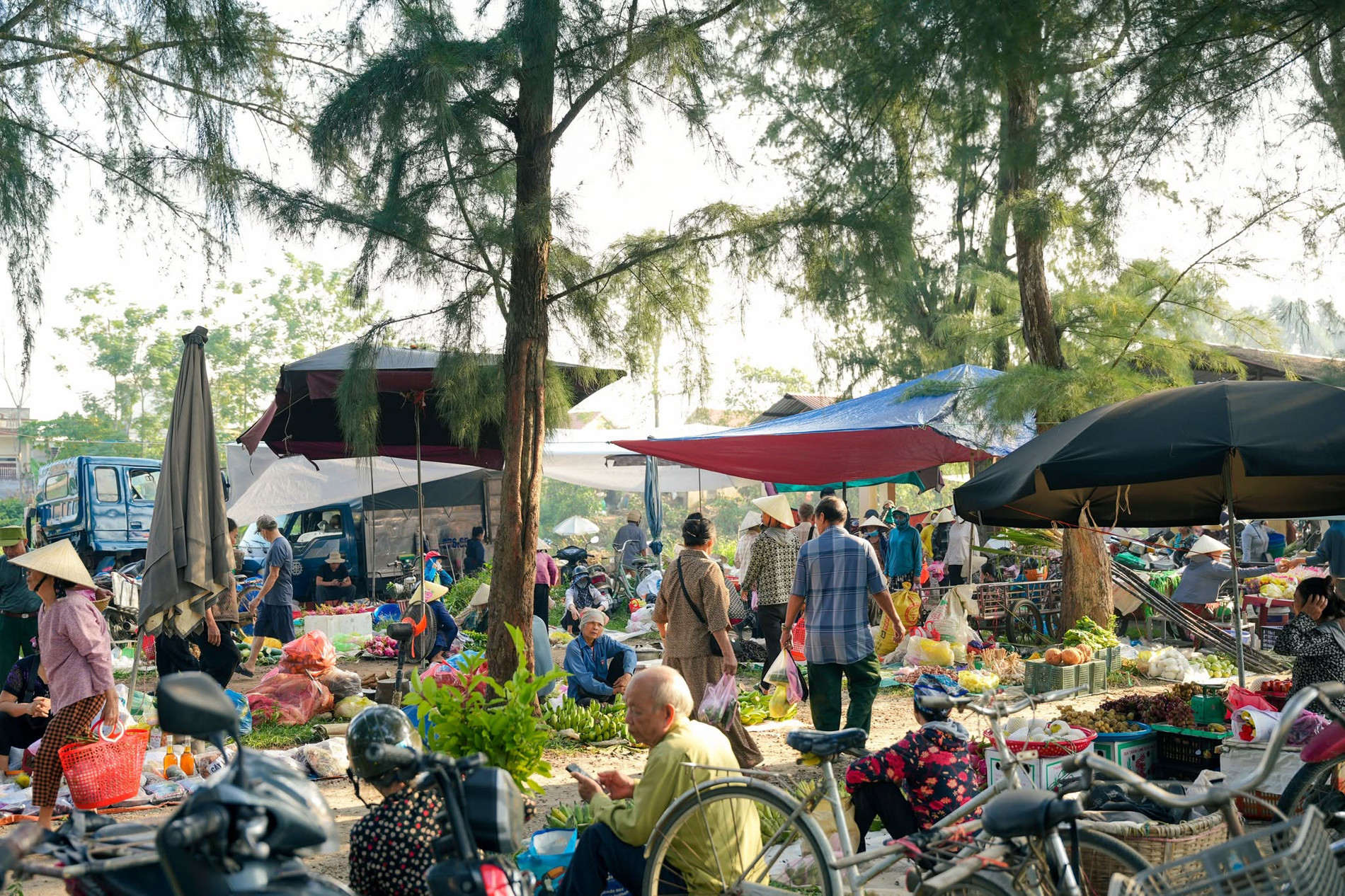 Chợ ở Thanh Hoá nằm giữa rặng phi lao xanh mát, bán đủ món ngon dân dã - 5