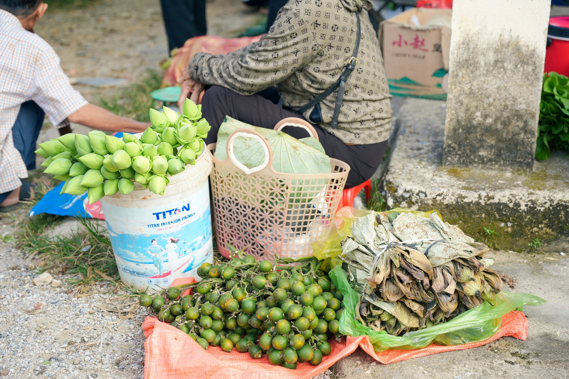 Chợ ở Thanh Hoá nằm giữa rặng phi lao xanh mát, bán đủ món ngon dân dã - 14