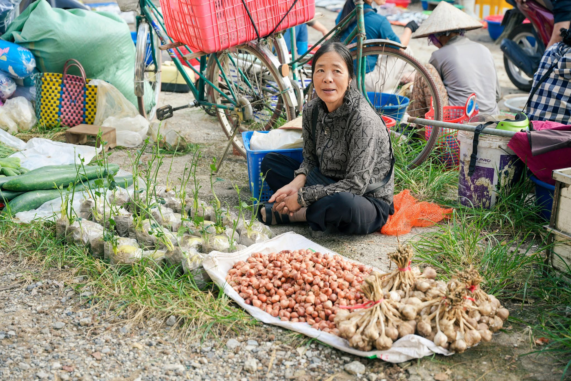 Chợ ở Thanh Hoá nằm giữa rặng phi lao xanh mát, bán đủ món ngon dân dã - 15
