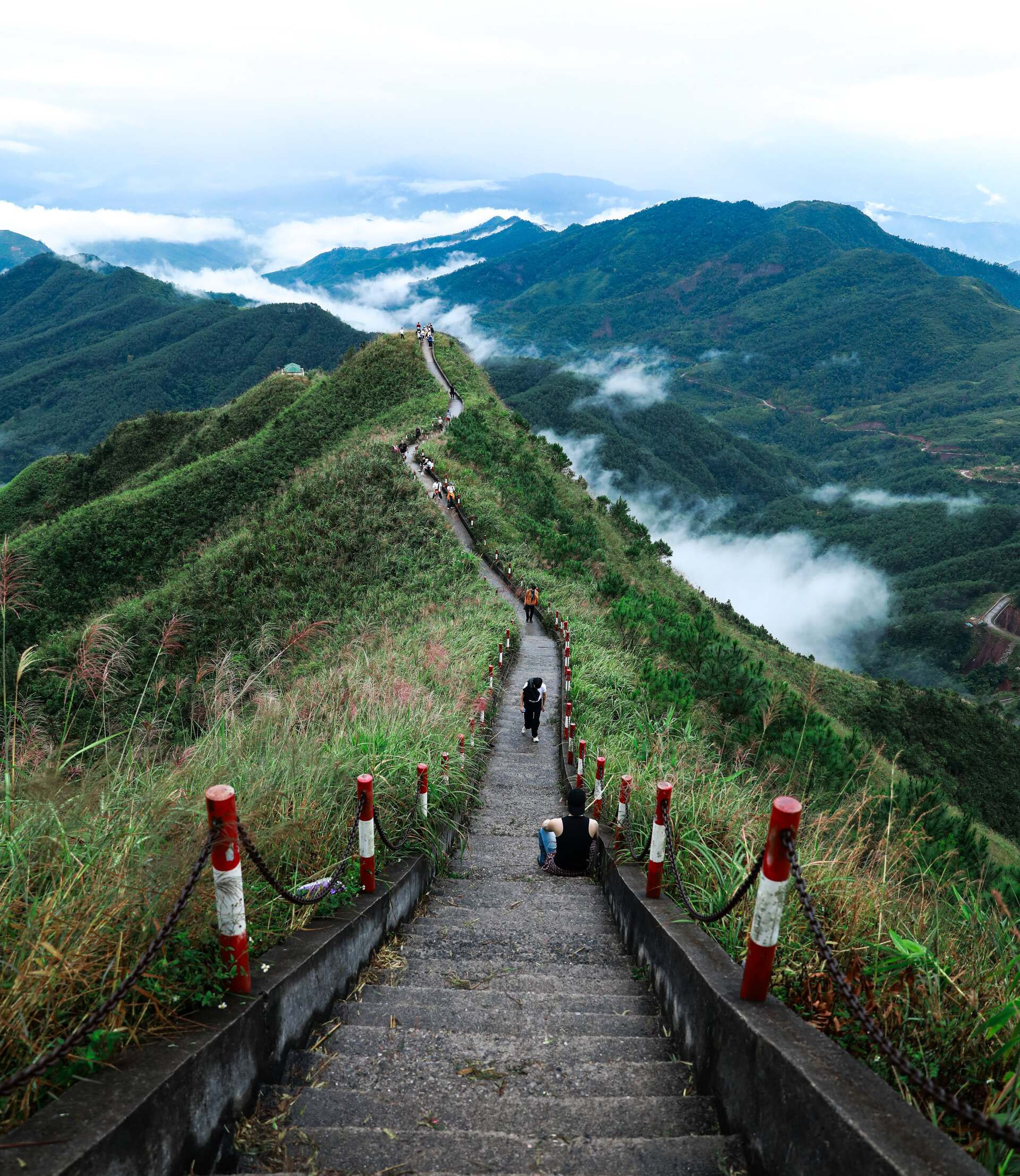 amp;#34;Thiên đường cỏ lauamp;#34; cách Hà Nội 300km bắt đầu khoe sắc, khách đi 3 lần vẫn mê - 7