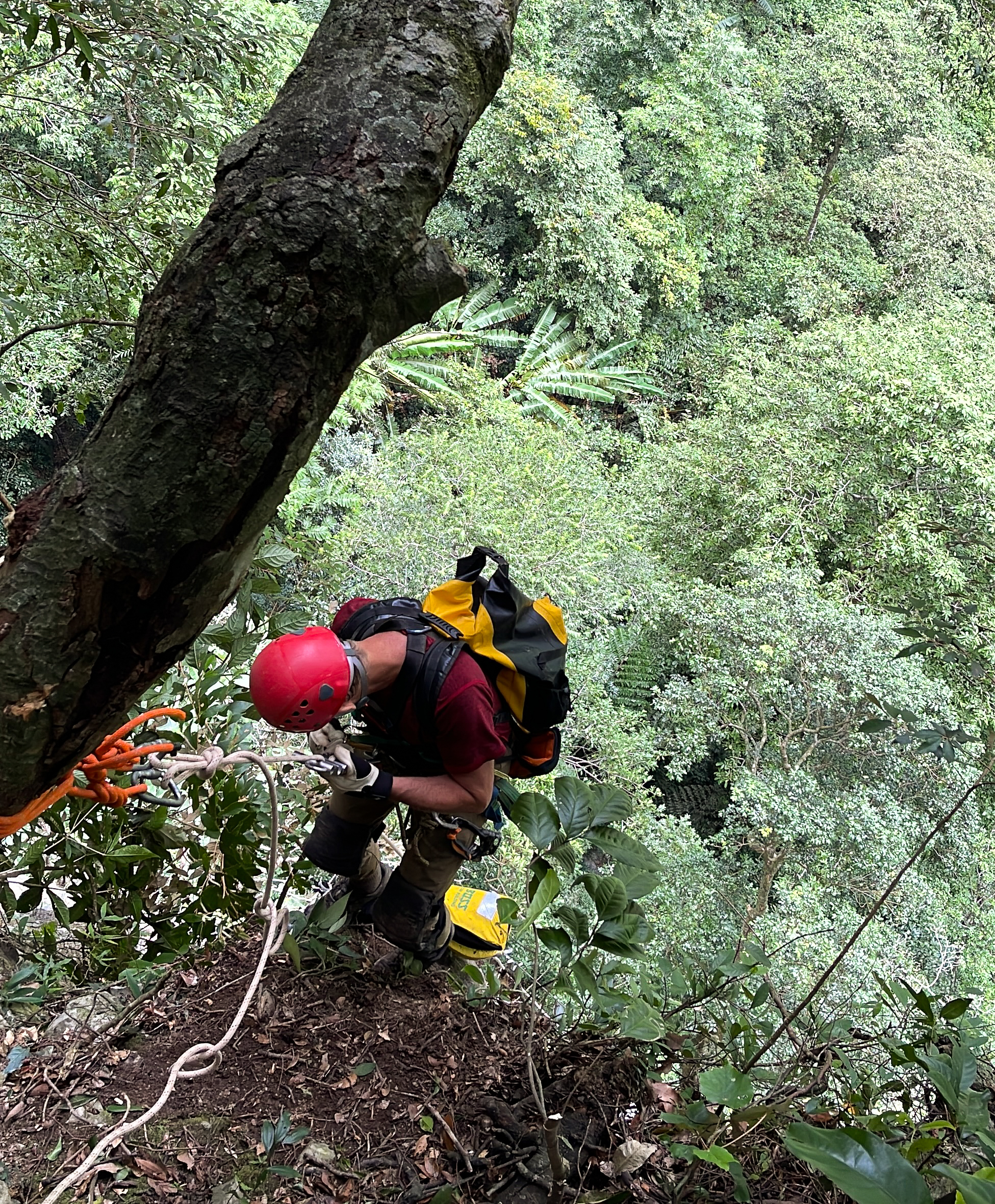 Sau Chuyến Khảo Sát, Jungle Boss Gửi Báo Cáo Các Số Liệu Thực Địa Tới Ban Quản Lý Vườn Quốc Gia Phong Nha - Kẻ Bàng, Đề Xuất Tiếp Tục Nghiên Cứu Mở Rộng Khu Vực Chà Nòi - Khe Gát Và Khảo Sát Các Tuyến Tiếp Cận Mới Từ Bên Ngoài Hố Sụt. Chuyến Đi Không Chỉ Đóng Góp Giá Trị Lớn Cho Công Tác Nghiên Cứu Khoa Học, Bảo Tồn Di Sản Thiên Nhiên Thế Giới Mà Còn Hứa Hẹn Tiếp Tục Lật Mở Từng Điều Bí Ẩn Còn Nằm Trong Lòng Phong Nha. Ảnh: Jungle Boss.