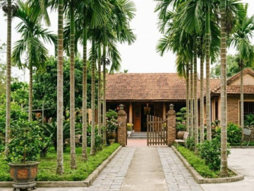 Nhà đẹp - Loài cây hấp thụ độc tố và bụi bẩn lại mang ý nghĩa bình an trong cuộc sống