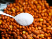 Bếp Eva - Làm lạc rang muối nhanh bị ỉu, hóa ra nhiều người bị quên bước này, thực hiện đẩy đủ lạc giòn ngon cả tuần