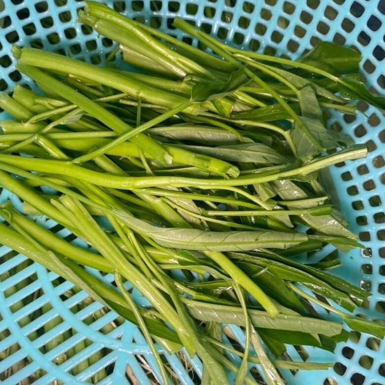 Xào rau muống hay bị thâm đen, hóa ra bỏ quên bước này, giờ biết rồi nấu lần nào cũng ngon giòn, xanh mướt - 2