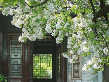 Ngày sinh Âm lịch của người càng về già càng sung túc, ít lo nghĩ