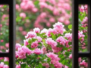 Eva tám - Ngày sinh Âm lịch của người tham vọng, sự nghiệp dễ thăng hoa