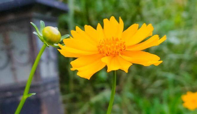Người qua tuổi 40 đừng quản 2 việc, người tới tuổi 50 chớ bận tâm 2 loại người - 2