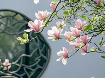 Ngày sinh Âm lịch của đứa trẻ có vận may đồng hành suốt cuộc đời