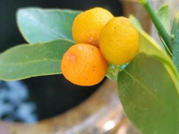 Giữ được 6 điều này, bạn sẽ ngày càng may mắn, cuộc sống dễ dàng hơn 