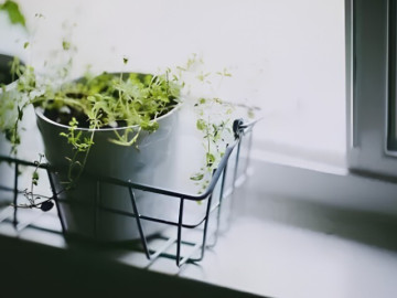 3 lời người khôn ngoan chọn giấu kín trong lòng, sẽ không tùy tiện nói với con cái 
