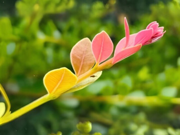 Eva tám - Thoáng nhìn 3 thói quen, biết ngay một người dư dả hay túng thiếu 