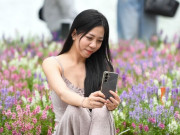 Lifestyle - Nàng thơ nô nức check-in với loài hoa mới lạ ở Bờ Hồ