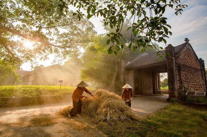Về Thăm Làng Cổ Đường Lâm