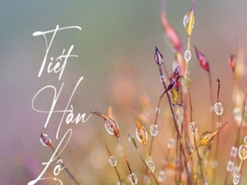 Từ hôm nay bước vào tiết khí Hàn Lộ 2026, làm ngay 6 điều này để thu hút may mắn và tài lộc