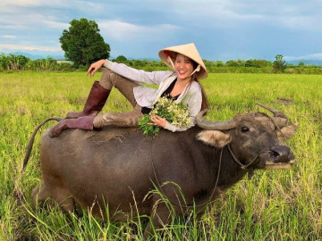 Cô bé đi chăn trâu, mò cua bắt ốc trở thành Á hậu nóng bỏng, lấy thiếu gia Hà Nội nay sống giàu sướng