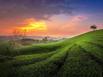 Lifestyle - 11 địa điểm “đẹp tựa tiên cảnh” ở Thái Nguyên mà bạn không nên bỏ qua, từ núi đồi đến hồ thác, thỏa sức check-in