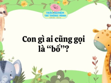Con gì ai cũng gọi là bố?