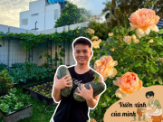 Nhà đẹp - Bố đảm chi 2 tỷ làm vườn, sân thượng 80m2 rau trái quanh năm, vườn hồng dưới đất ngập sắc hương