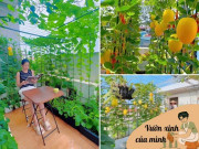Nhà đẹp - Mẹ đảm Hải Phòng chi 40 triệu làm vườn rau 32m2 trên tầng 6: Rau xanh ăn quanh năm không hết, dưa treo lúc lỉu đã mắt