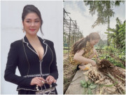 Nhà đẹp - "Hoa hậu bí ẩn nhất showbiz Việt" vừa bảo vệ thành công luận án tiến sĩ, hiện sống trong ngôi nhà thế nào?