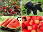 Yêu - Trắc nghiệm: Chọn một loại trái cây, biết ngay bạn có số gặp được người thật lòng yêu thương mình hay không