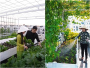 Nhà đẹp - Á hậu là "phú bà Hà thành" có khu vườn sân thượng xanh mướt, nhận xét rau nhà trồng ngọt và thơm hơn đi mua