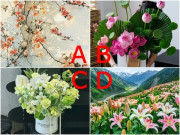 Yêu - Trắc nghiệm: Chọn một bức tranh, hé lộ bạn chiếm vị trí quan trọng đến đâu trong trái tim người ấy